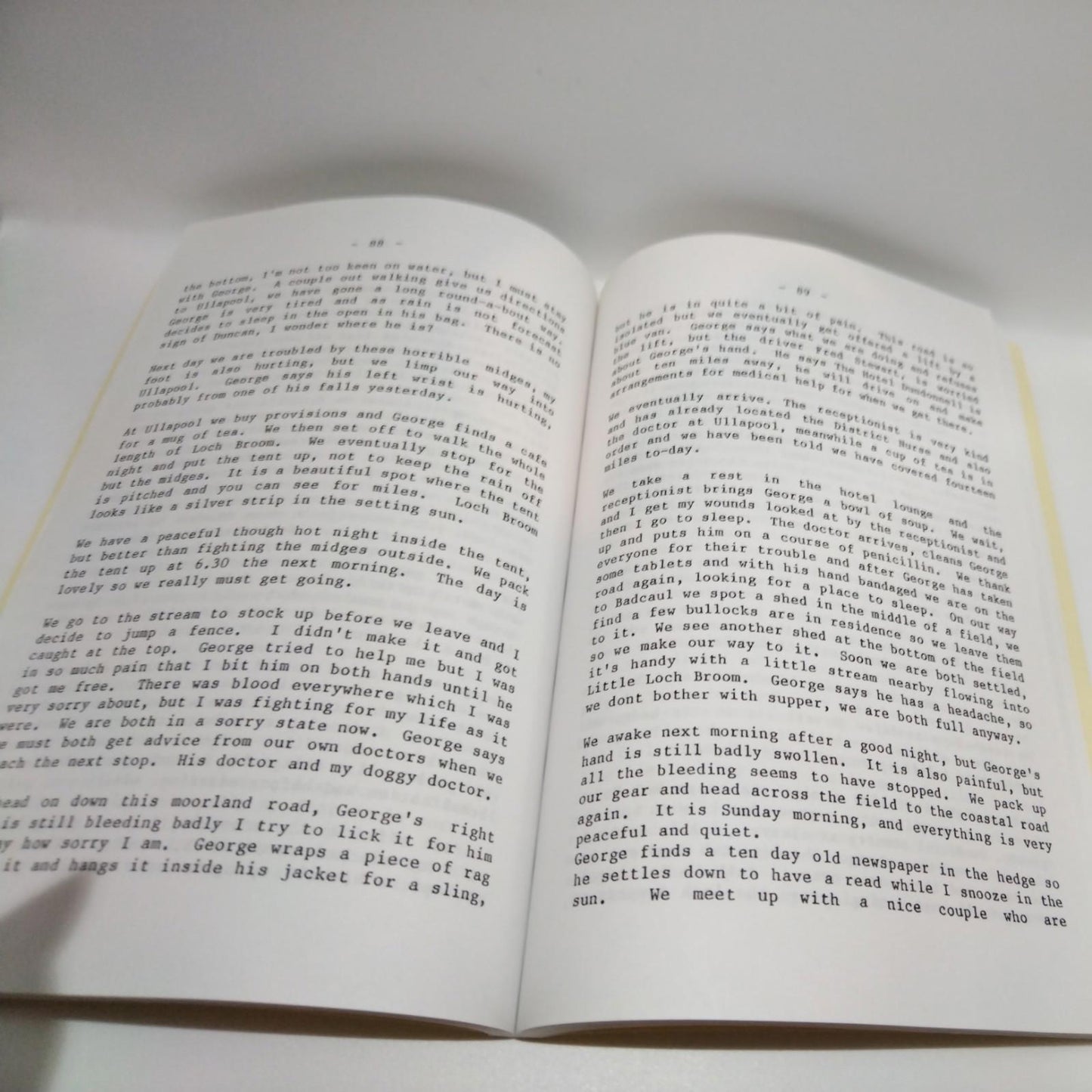 A Dog with Two Tails by Crystal Elizabeth Nicholson Paperback Book