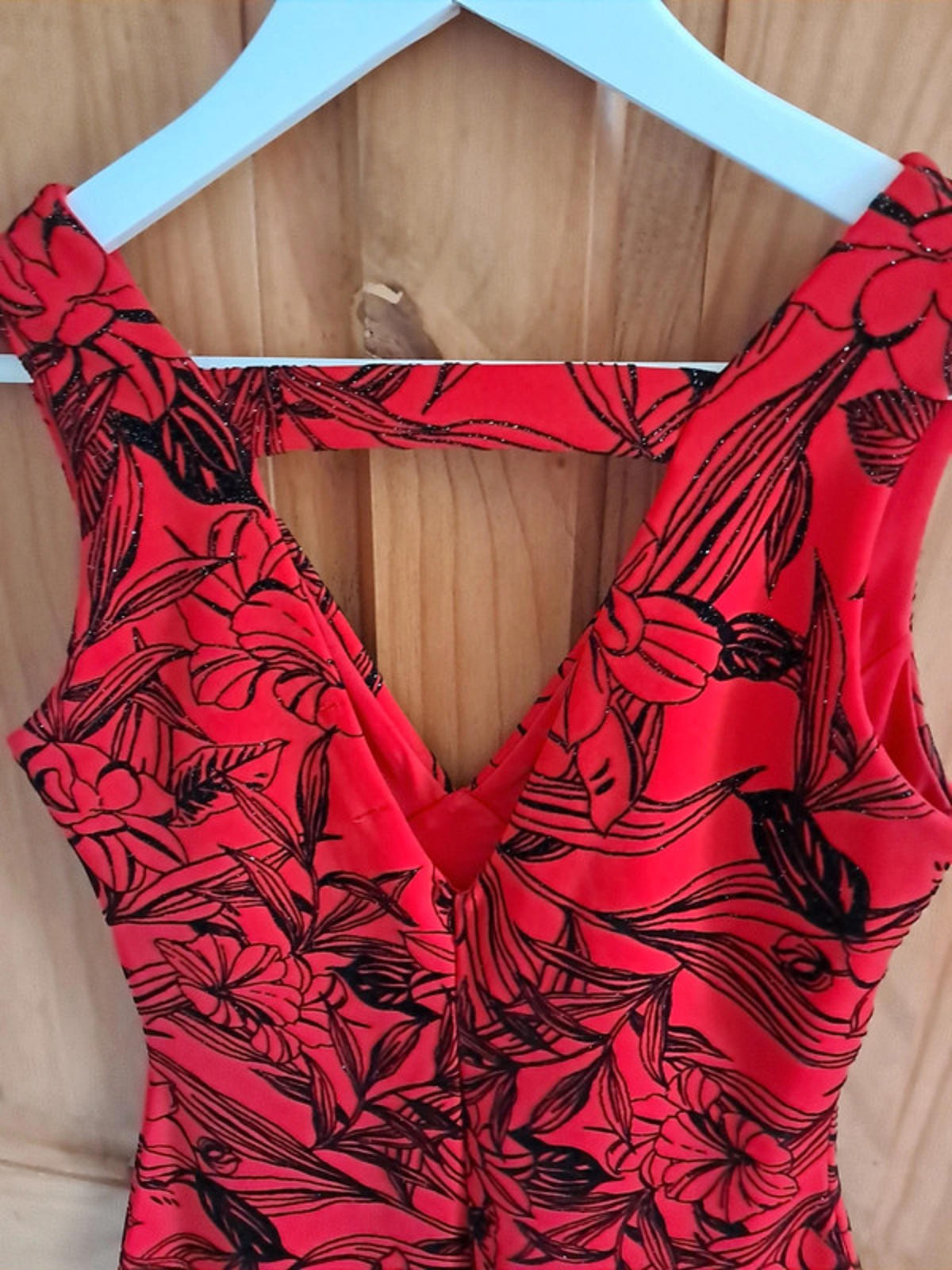 Red floral velvet dress