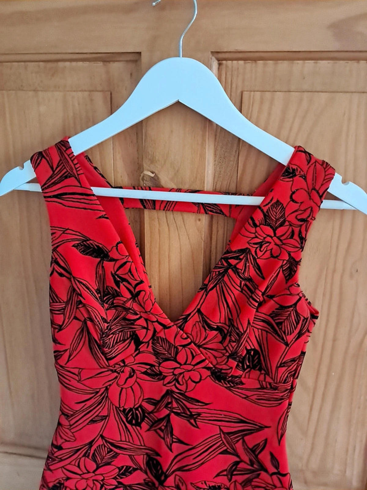 Red floral velvet dress