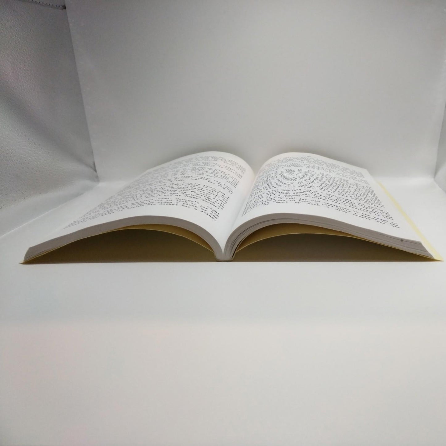 A Dog with Two Tails by Crystal Elizabeth Nicholson Paperback Book